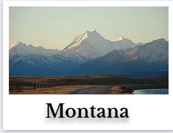 Montana Online CE Chiropractic DC Courses internet on demand chiro seminar hours for continuing education ceu credits