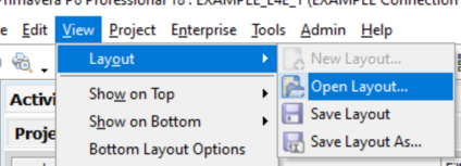 Select view tab and open layout in Primavera P6