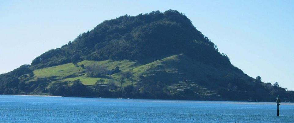 Mount Maunganui, Tauranga Lawn Mowing