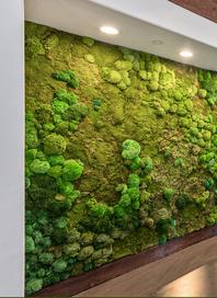 Large Moss Wall and Preserved Moss Wall Art