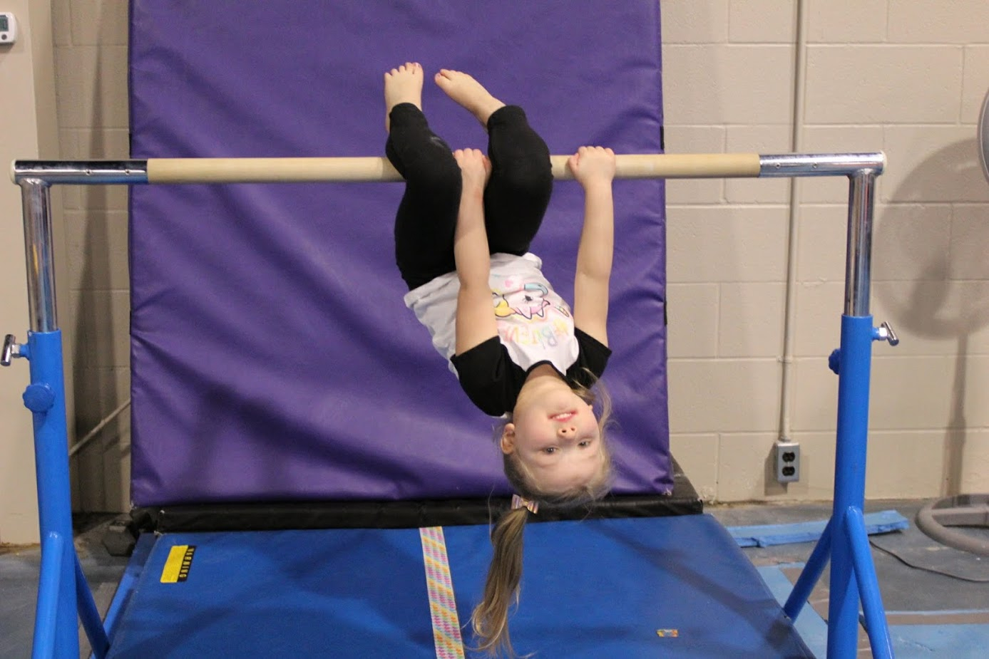 TANTIKC 7-Foot Youth Gymnastics Training Home Outdoor Folding Balance Beam Purple 