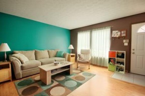 ORGANIZATION SERVICES FROM MGM HOUSE HOLD SERVICES