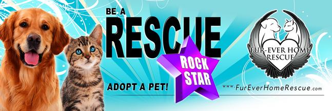 Fur ever sale pet rescue