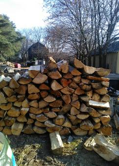 Dry seasoned firewood stacked outdoors