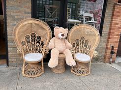 teddy bear theme baby shower decor wicker chairs