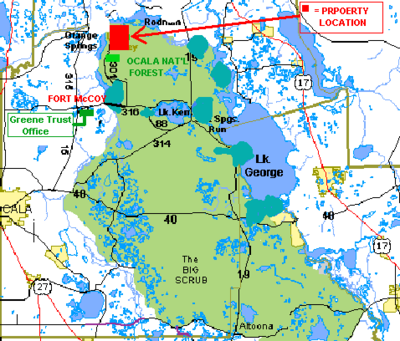 ocala forest national florida land lots over