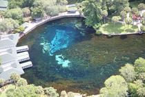 Affordable Summer Staycations: Things to do at Devil's Den Spring in Florida