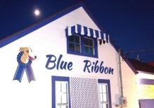 BLUE RIBBON DOG GROOMING LLC Anderson Indiana