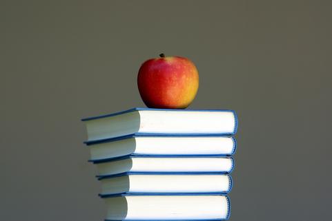 Picture of five books stacked with the smallest book on the bottom. There is a red apple sitting on top of the stack.