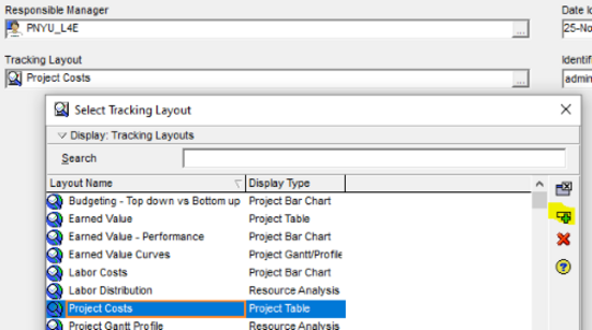 Primavera P6 tracking layout