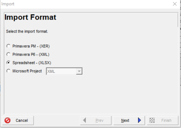 Import format in Primavera P6