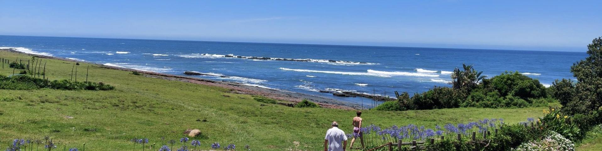 The Wild Coast View from DolphinView
