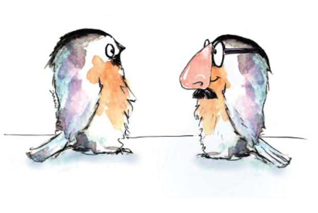 Big Nose Bird