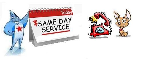 SAME DAY CLEANING SERVICES