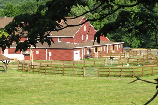 Wild Wind Ranch