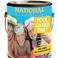 acrylic pool paints