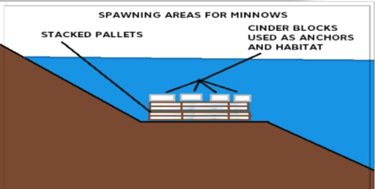 FISH HABITAT & SPAWNING