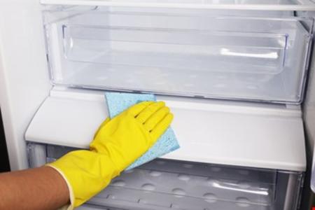 Fridge Cleaning Services