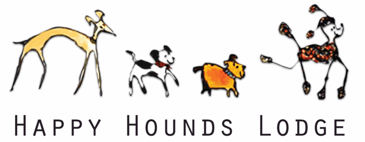 Happy hounds outlet collars