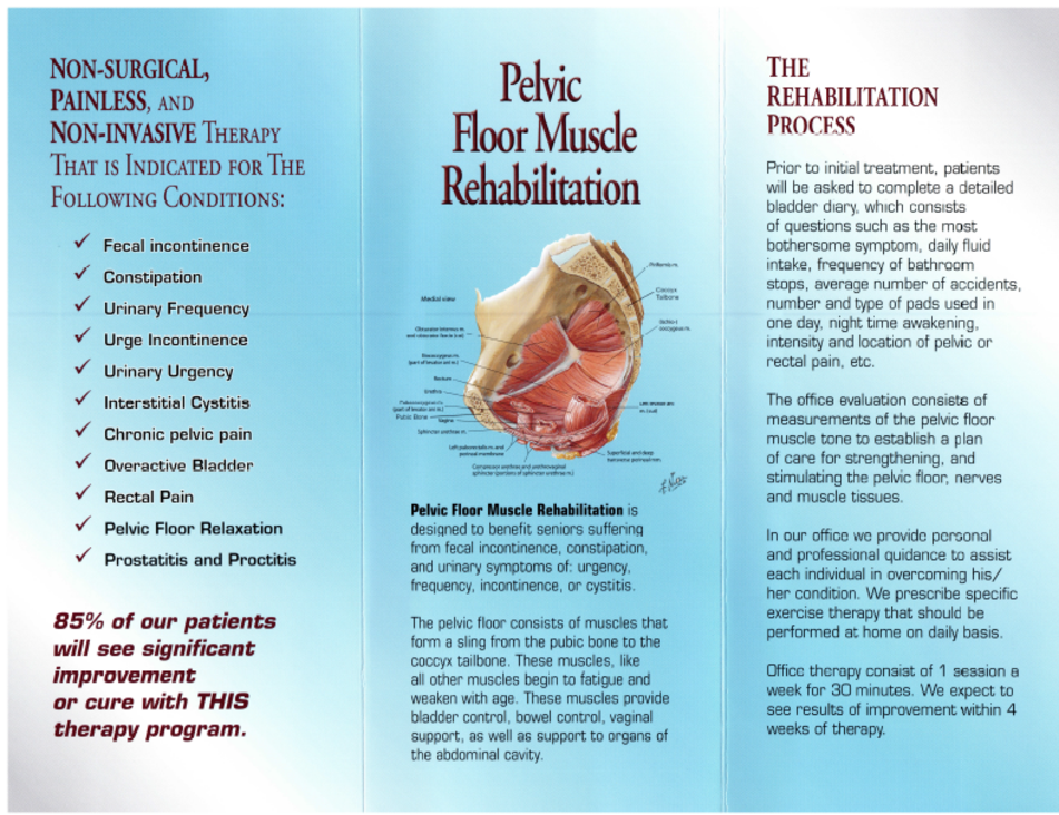 Pelvic Floor Rehabilitation