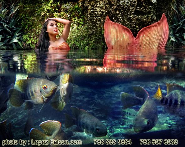 Quinces Mermaid Miami pictures video photography secret gardens Quinceanera mermaid USA