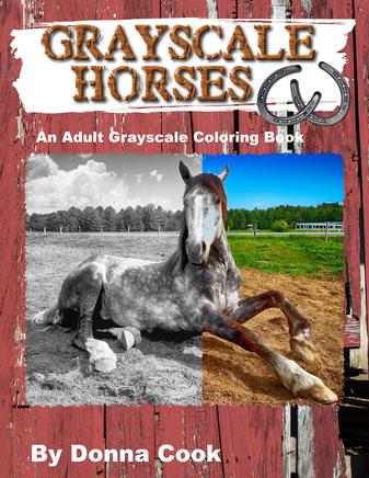 Grayscale Horses coloring book by Donna Cook