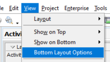 Go to view tab and bottom layout options in Primavera P6