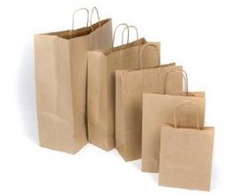 Printed Paper Bags