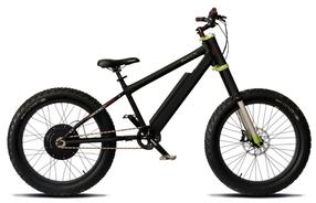 Electric Bikes $2200-$3499