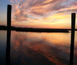 harbor tours south carolina