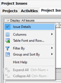 Right-click in Primavera P6 Issues window