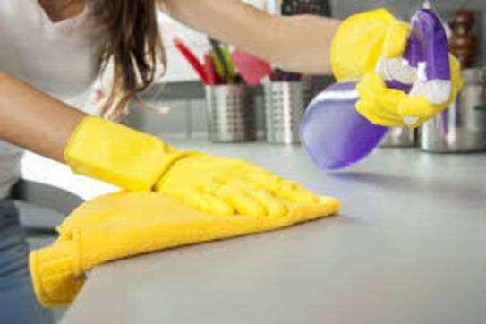 KITCHEN CLEANING SERVICES FROM MGM HOUSEHOLD SERVICES