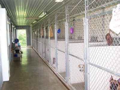 Indoor outdoor outlet kennels