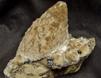 Calcite crystal with Asphaltum - Clay Center, Ohio - ex Kohnowich, ex Batic