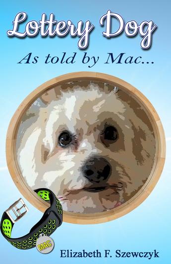 Lottery Dog: As told by Mac by Elizabeth Szewczyk