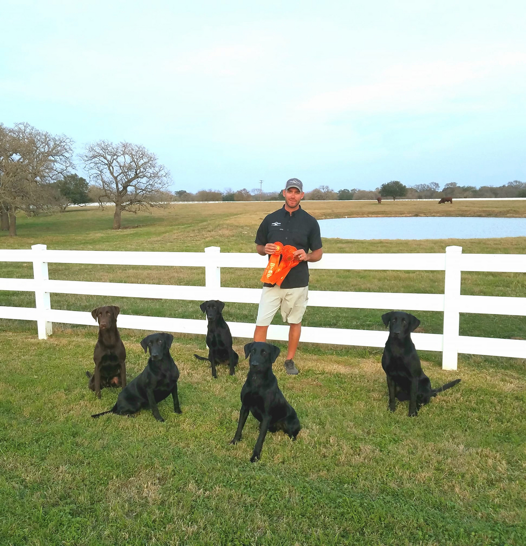 Ukc retriever 2024 hunt test