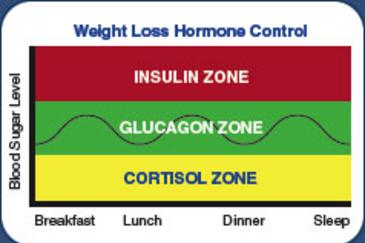 Weight loss Hormone control and Blood sugar level; insulin zone, Glucagon zone, Cortisol zone