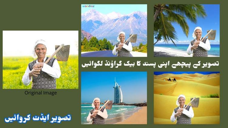 Change Photo Background. Image Editor Online in Pakistan