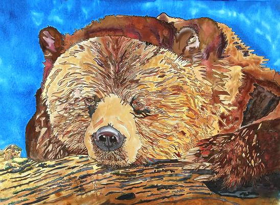 Tracy Harris Silk Artist, Grizzly Silk Painting, Gutta, water-base resist