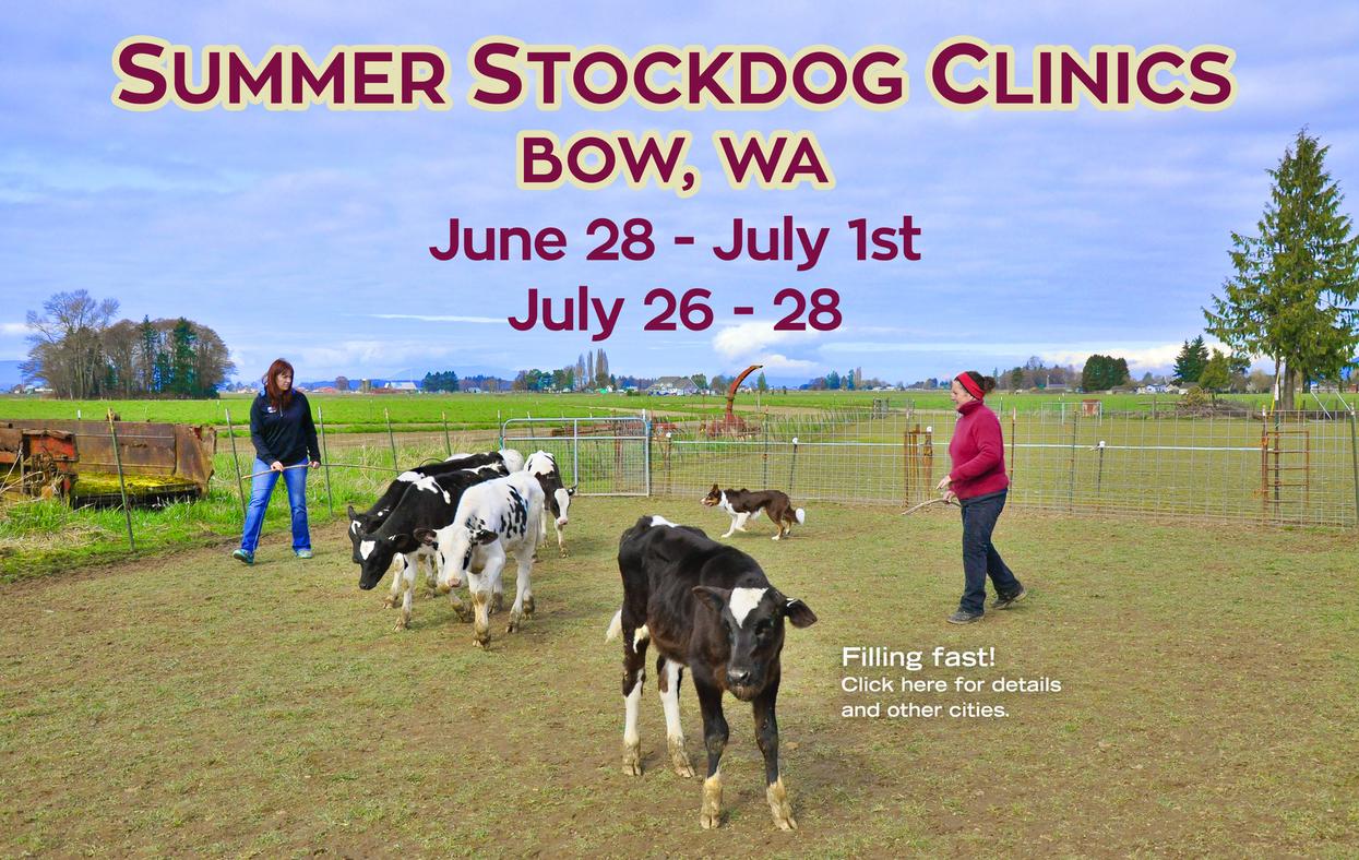Stock Dog Training and Herding Training Jan Wesen