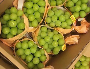 Nho mẫu đơn mặt hàng hoa quả nhập khẩu từ Nhật đang gây sốt thị trường