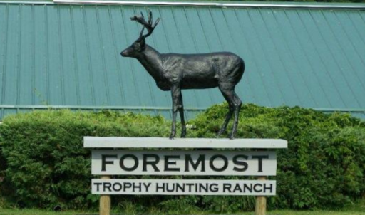 Foremost Hunting Lodge