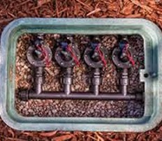 Irrigation system valve box