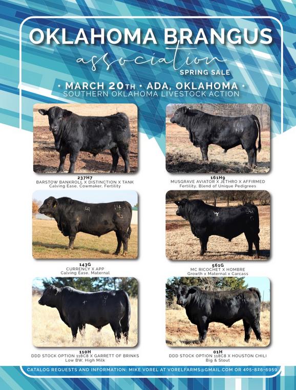 Oklahoma Brangus Association