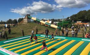 Picture of the Maze Park at Hank's PumpkinTown