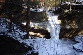 scenery during winter guided nature hike in hocking