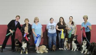 Lakeshore store dog training