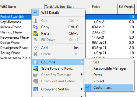 Primavera P6 est weight column in default WBS tab