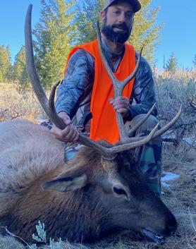 Elk Hunting in Southwest Montana www.2houtdoors.com