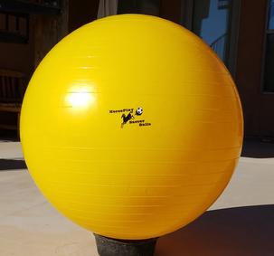 Gold 33" Mini Anti-burst Training Ball